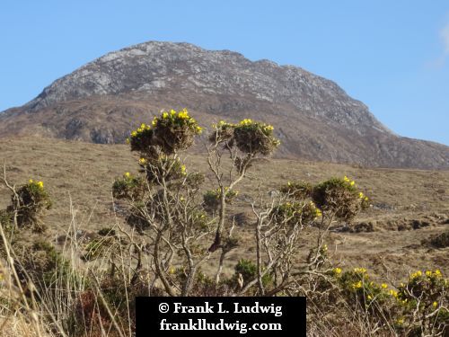 Connemara National Park